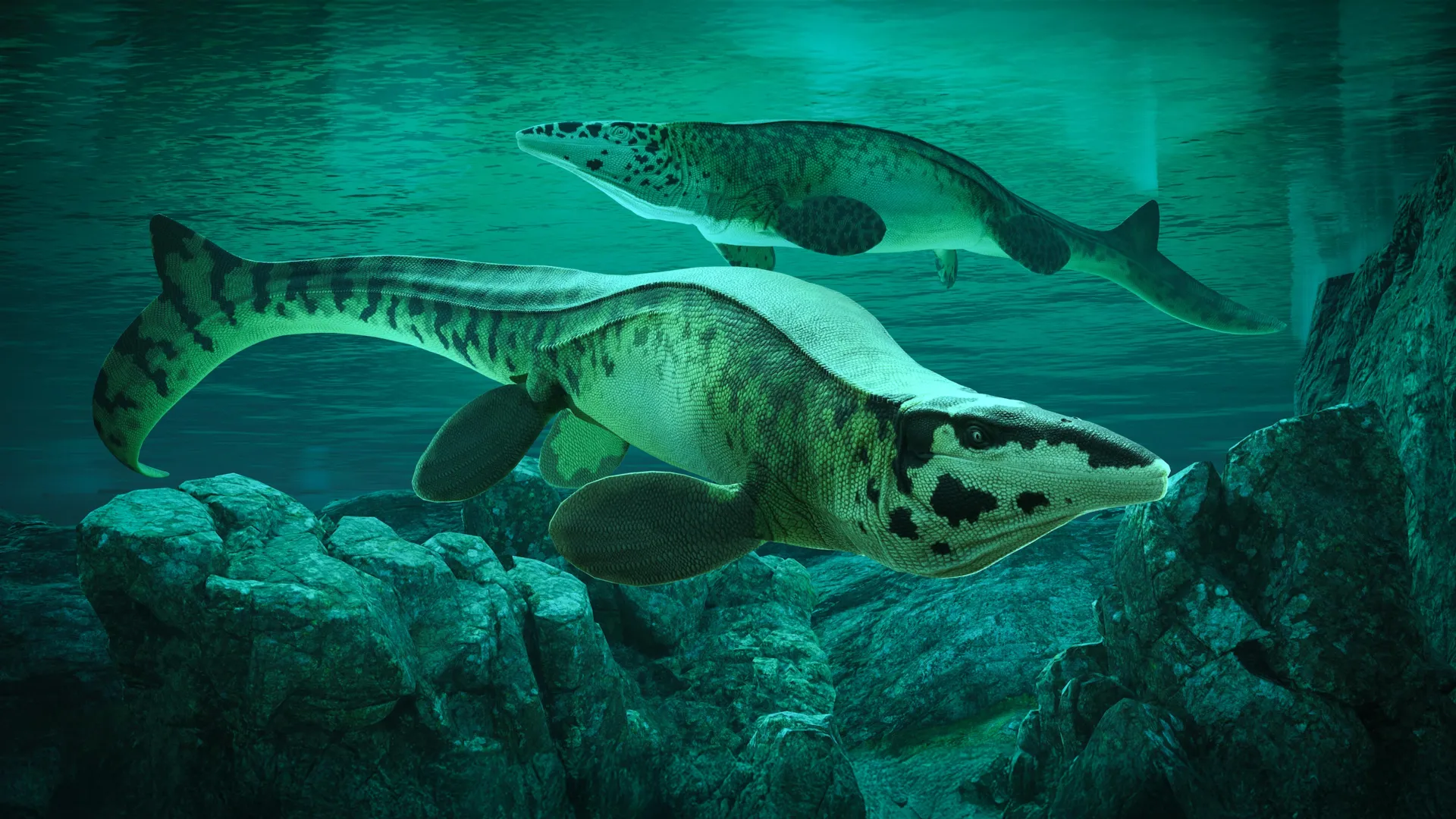 скам'янілість мозазавра Tylosaurus rex ілюстрація