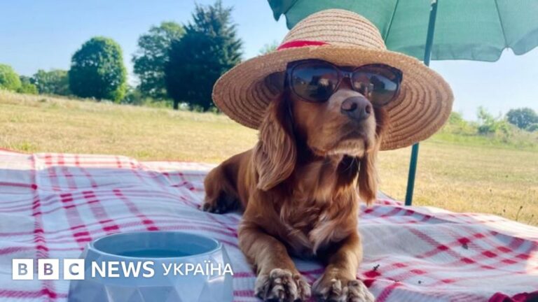 сонячна весняна погода Україна парк зелень блакитне небо