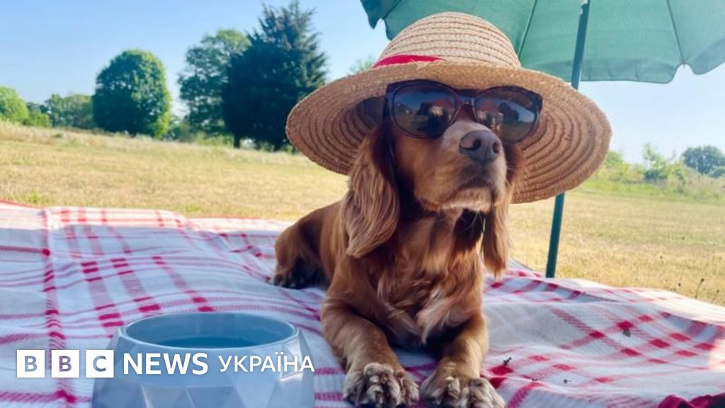 сонячна весняна погода Україна парк зелень блакитне небо