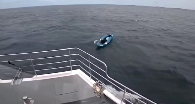 німецька вівчарка порятунок море човен капітан рятувальна операція